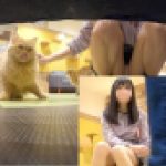 キャッツ・アイ2