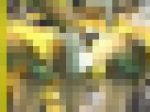 2268／「一点集中撮り・幻のチアガールスケッチ帳（３）」