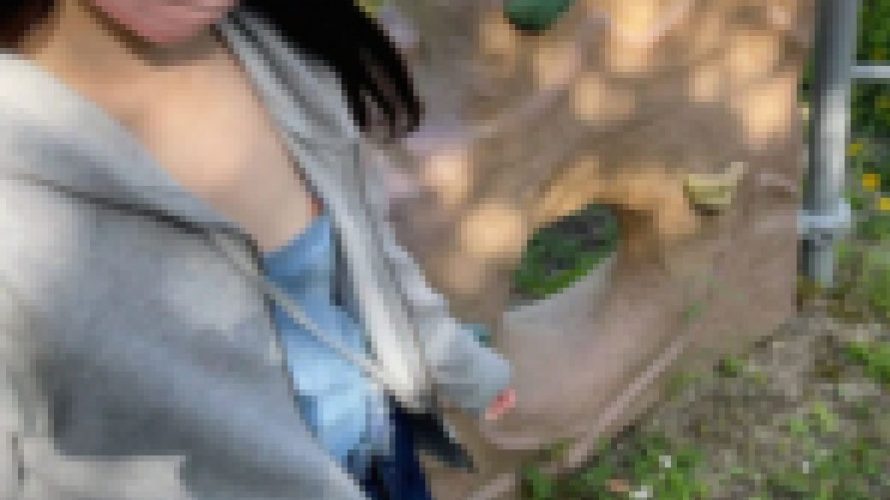 【未満】【始まり】【公園】【成長過程】11