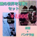 鏡の世界を写撃2セット