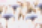 S2-18:B18～B19=連番2本セット【20%OFF!!】