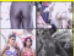 1268／ 「惜しみ撮り・サンバ、ちょっと撮り」