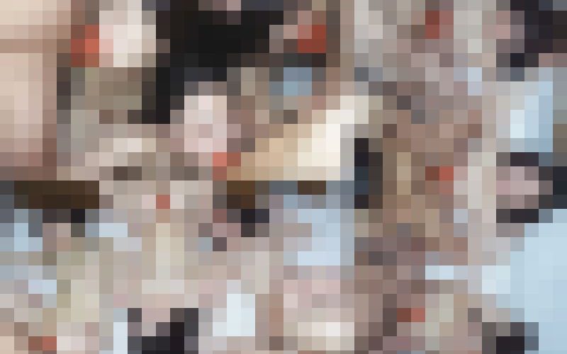 ※お詫び20％還元※【キメ◎ク姦】インカレアウトドアサークルお泊り女子会／S女子短大巨乳新入生女子3名③【特典3本】