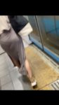 素人000 透けパンツ