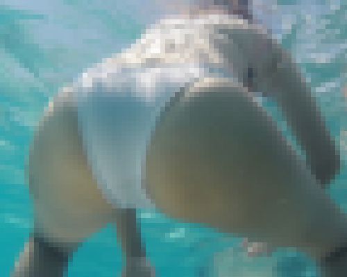 水中水着追跡！vol.173（イイケツカタログ2）【YMUW-1173】