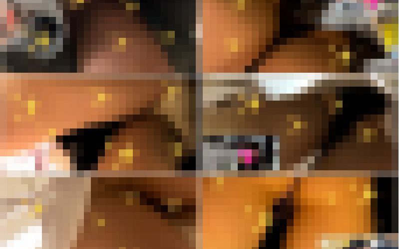 ワンシーンを見逃すな！短編集4 SS4-4K