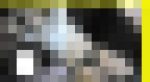 6008／「偽装撮り・キャンちゃん私家盤コレクション（94）～肉感篇」