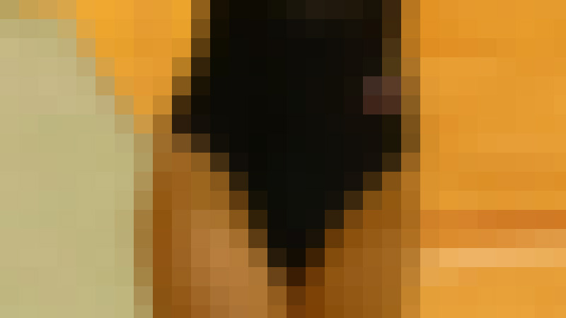 再販売商品です　ちょっぴり食い込む緩いお尻のれおた 他ハイレグ、むっちり 4名 4K