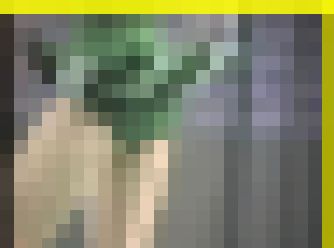 3123／「蒐集撮り・チアーでいこう（42）」