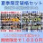 ☆期間限定破格100人セット☆