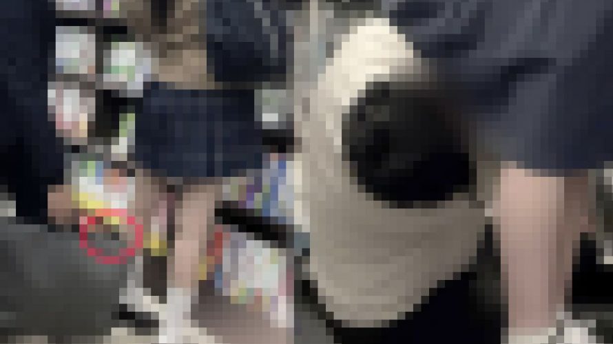【同業者編】【6人分セット】ネコからの贈り物【禁断の逆さ撮り】