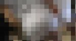 4589／「偽装撮り・キャンちゃん私家盤コレクション（14）」