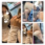 脚フェチ486 2名の脚を組む美人お姉さんの接近エロ過ぎる生脚美脚
