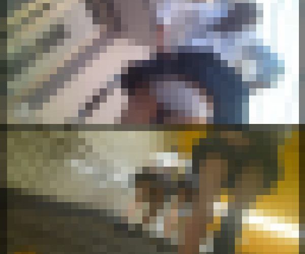 ガ23　外　60ｆｐｓ