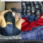 ネトゲの学生ちゃん体操着短パン　１４９