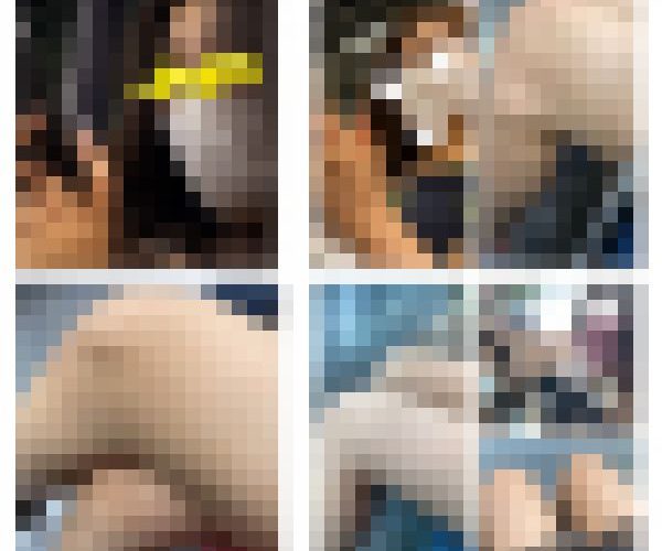 3名の美人お姉さんの接近エロ過ぎる生脚美脚716