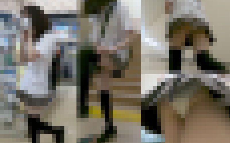 [4K]ミニスカ ニーソのJDがブラ透けまで