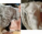 お部屋潜入！下着拝見！女の子のおぱんつチェック?