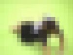 2179／「殴り込み撮り・レオタード無法地帯（65）」