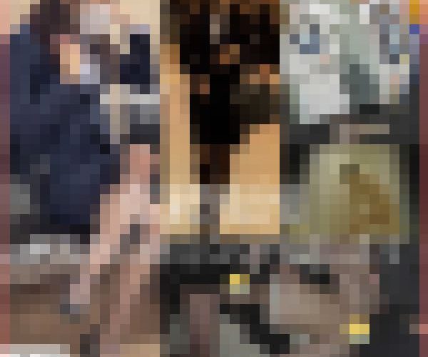 あなたの身近な女性を犯します【依頼痴漢】2