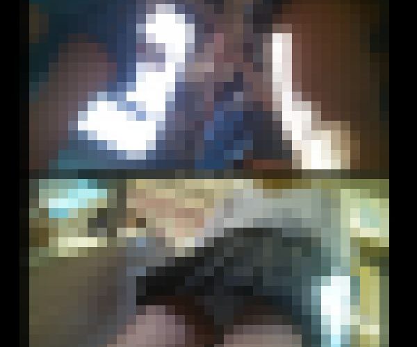 ガ26　外　60ｆｐｓ