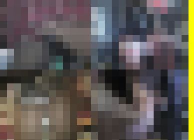 3952／「偽装撮り・キャンちゃん私家盤コレクション（２）」