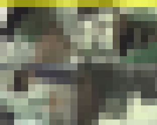 1441／「蒐集撮り・チアーでいこう（６）」