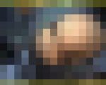 AI1346／「〔極限的画質盤〕たまらなくヒップなキャンギャル」