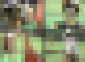 2424／「蒐集撮り・チアーでいこう（10）」