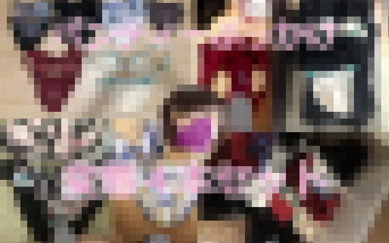 【弟のヨメ】椿ちゃんのパンティにぶっかけセット①～④