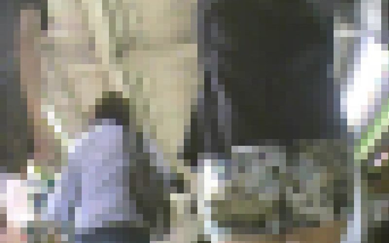 旧カメ版００１：ギャルパンティ接近撮り