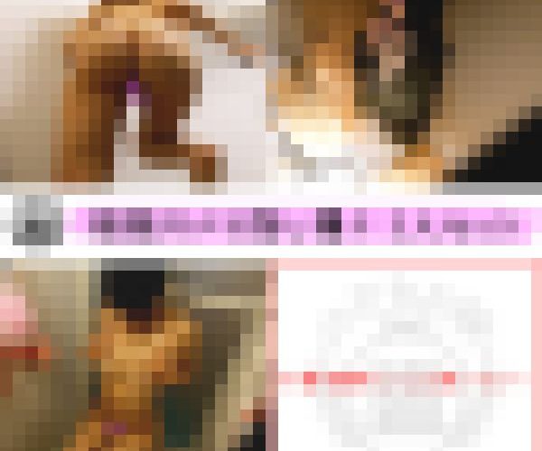 3本セット 神スタイル美女の姉シャワーを身内盗撮 スレンダーボディに美乳おっぱい クビレからのロケット尻がエロすぎて抜ける、他