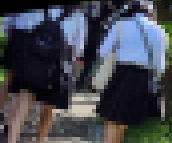 女子高生風逆さ撮り(S)