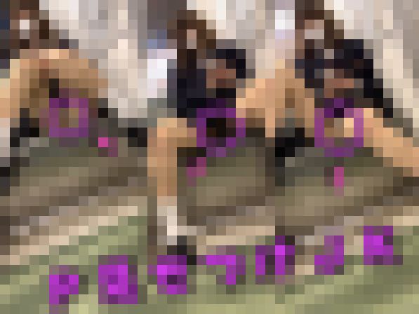 恥じらいJK?01
