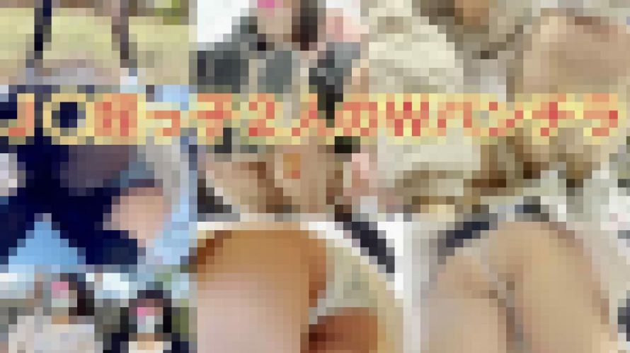 【序章作:姪っ子２人】Ｊ◯姪っ子2人のＷパンチラ?お買物と公園の２日分?