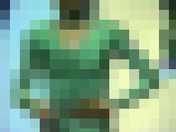 AI2644／「〔極限的画質盤〕幻の新体操ガール記念館（15）」