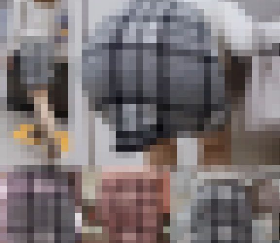 【ミニスカ】透けブラさせてるミニスカギャル