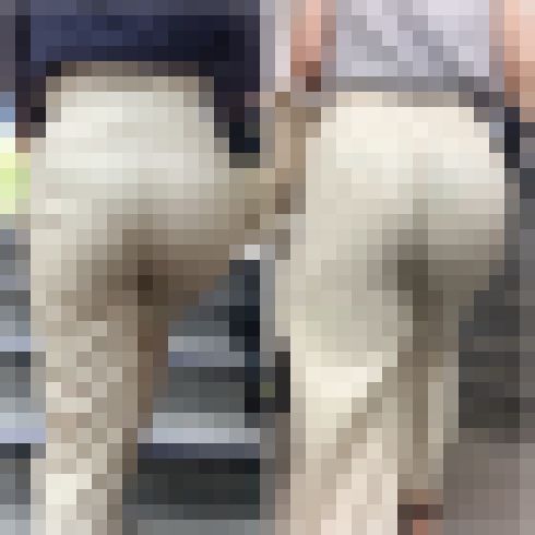 【再販商品です】No.175「ムチッと具合が最強！パンティー丸見え感も最強なOL達」