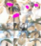 大学サークル活動×夏休みのBBQ大会に来てたサークル女子大生4人のパンチラ胸チラ撮り放題 1/4