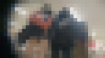 SHERRY14