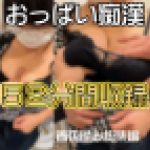 ５２分間連続おっぱい痴漢！着衣揉み総集編【祝１０作品】【再販】