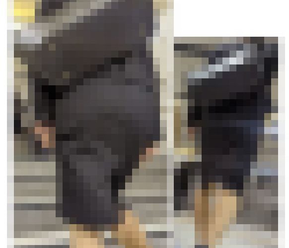 【053】タイスカに手を突っ込むモゾモゾリクスーOLさん！
