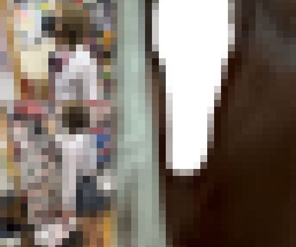 vol.42[衝撃マンポロあり]スタイル良すぎな激カワショート白チェ K逆さ撮り