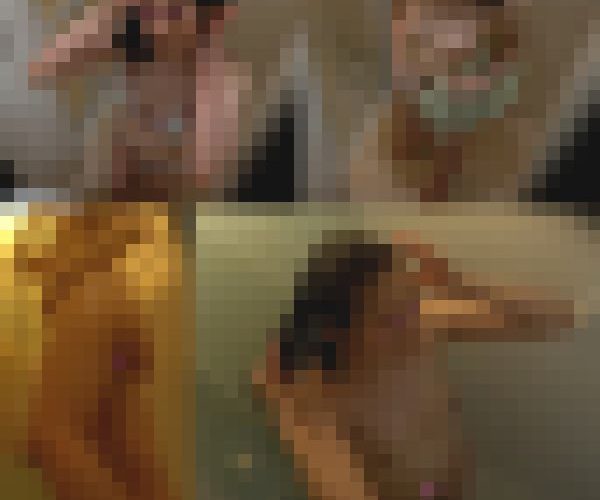 （再販）激シコ注意 透明感抜群 一人暮らしの黒髪美人JD 処理された無毛まんこからフルフル揺れるちいさな膨らみまでガチ盗撮