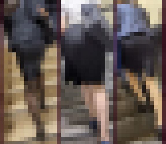 【再販セット販売】スーツOL作品厳選コレクション①