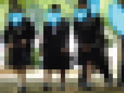 （再販）制服姿の女のコを撮影しました！！１０４