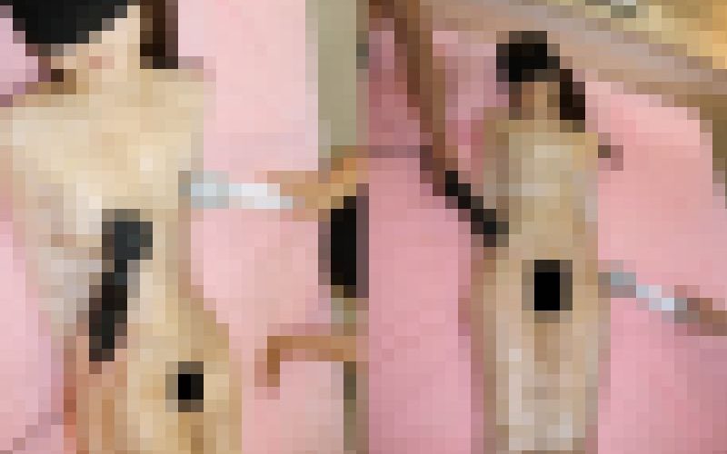 〈再販〉ちっぱいツルマンのつるぺた美●女をグルグル巻きにして電マ責めしてみた