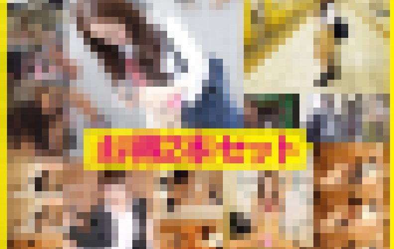 〈再販〉お得SET【ピチピチお肌でP活中？制服J●】激カワ制服女子２人セット