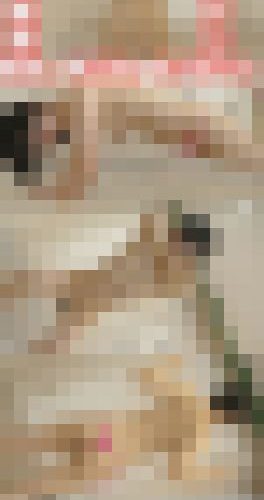 女性向け筋トレコーチング映像（腹筋、腕立て、スクワットを美人講師が全裸指導）