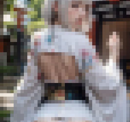 ケモミミ美女ｘ神社ｘ神尻